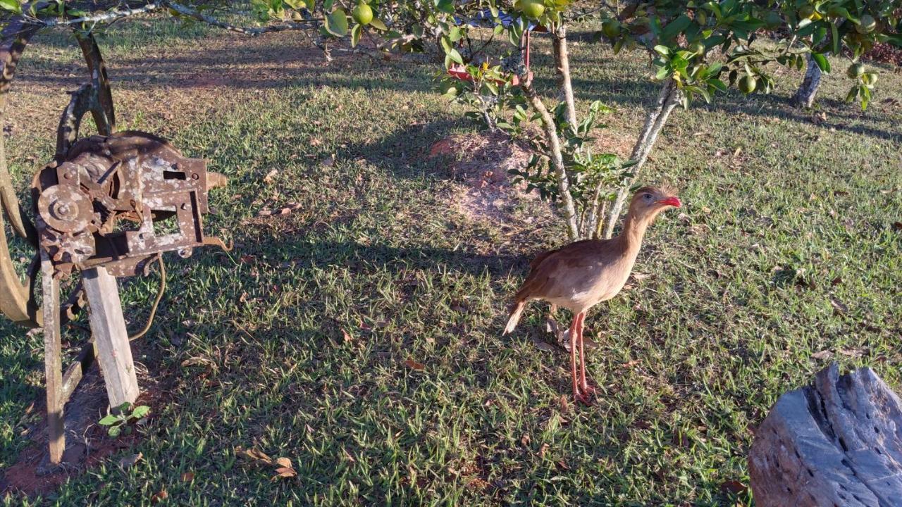 Pouso Da Siriema - Villa Bizuca Tiradentes Bagian luar foto